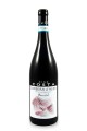 Bardot Barbera d’alba doc Costa Stefanino 2022