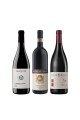 Selezione Barbera