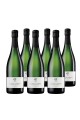 Alta Langa Brut Coppo - Box of 6