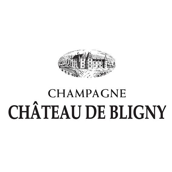 Chateau de Bligny